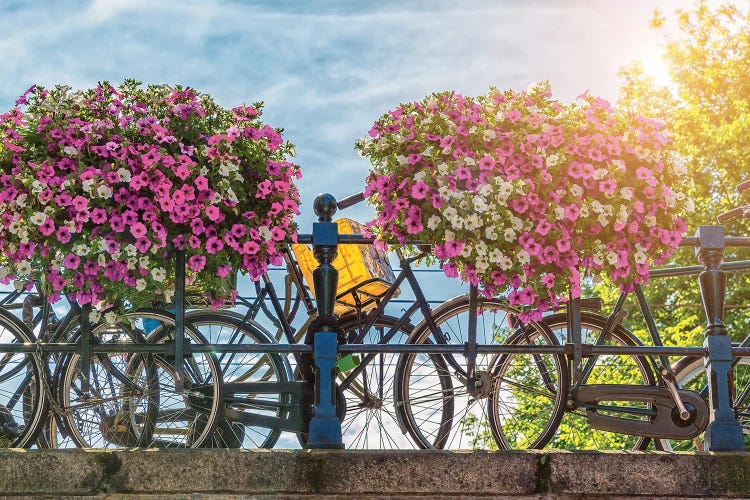 Amsterdam Bridge And Bikes In Summer