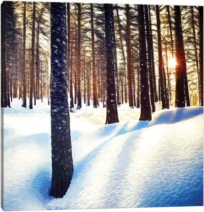 Forest In Snow Canvas Art Print - Jane Rix