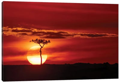 The Sun Sets In The Mara Canvas Art Print - Maasai Mara National Reserve