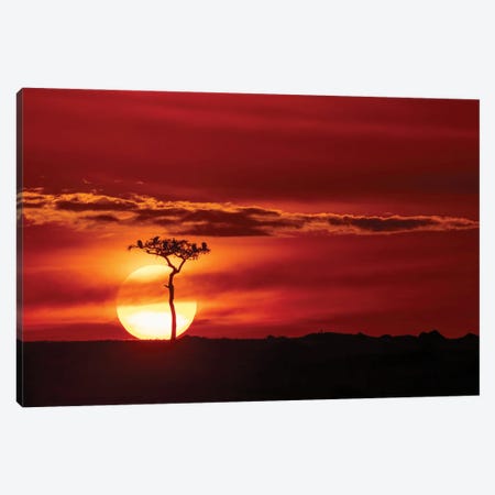 The Sun Sets In The Mara Canvas Print #JRX414} by Jane Rix Art Print