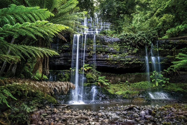 Jane Rix: Russell Falls Tasmania by Jane Rix