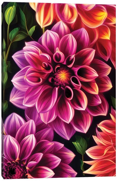 Dahlias In Pink And Orange Canvas Art Print - Jane Rix