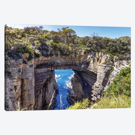 Tasman Arch Panorama Canvas Print #JRX445} by Jane Rix Canvas Artwork