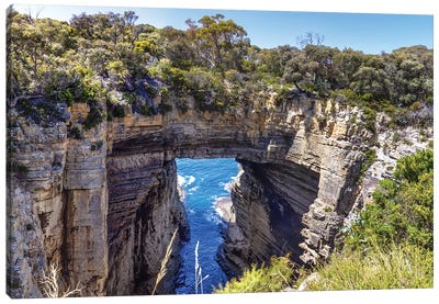 Tasman Arch Panorama Canvas Art Print - Jane Rix