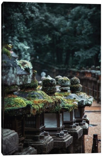 Stone Temple Lanterns At Nara Park. Canvas Art Print - Jane Rix