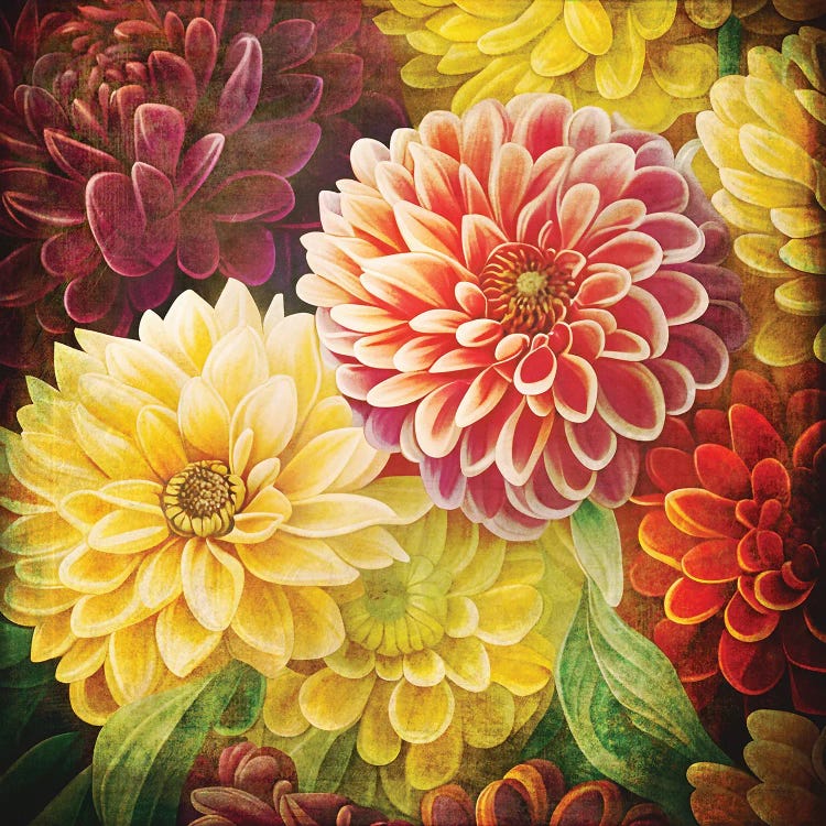Vintage Dahlia Background by Jane Rix wall art