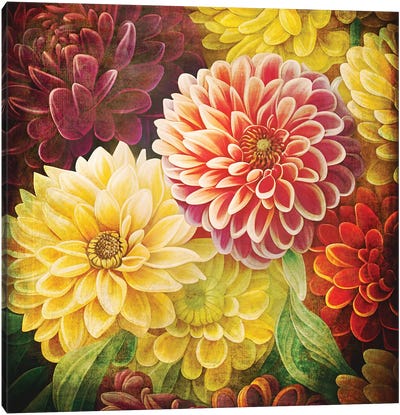 Vintage Dahlia Background Canvas Art Print - Jane Rix
