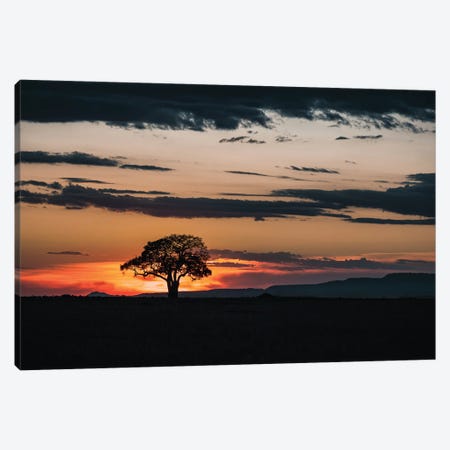 Mara Landscape At Sunset Canvas Print #JRX454} by Jane Rix Canvas Art Print