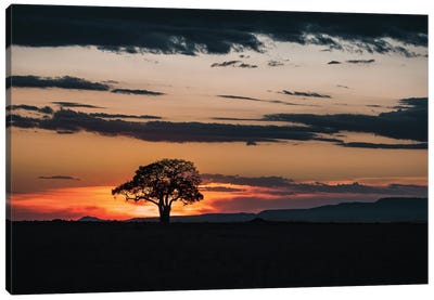 Mara Landscape At Sunset Canvas Art Print - Kenya