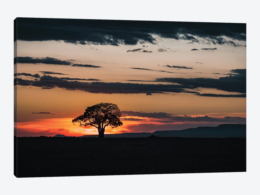 Mara Landscape At Sunset by Jane Rix 1-piece Canvas Artwork