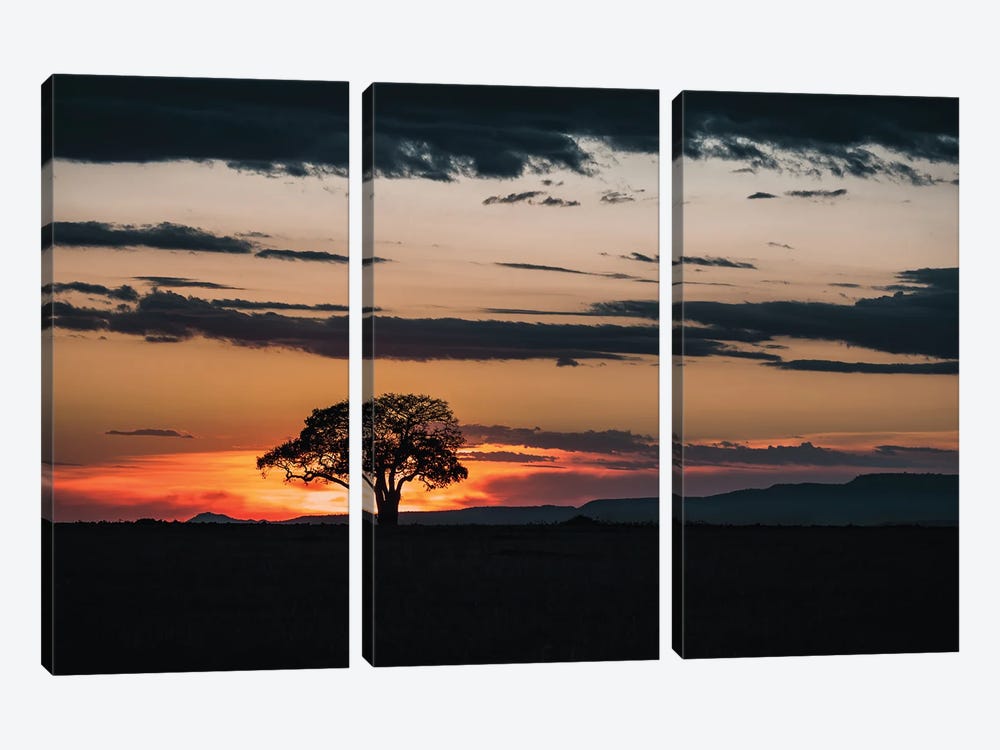 Mara Landscape At Sunset by Jane Rix 3-piece Canvas Artwork