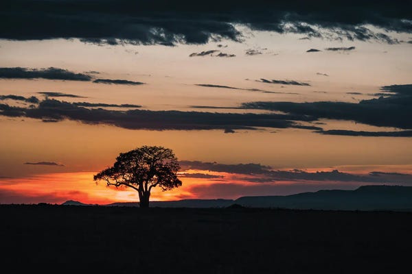 Maasai Mara National Reserve: Mara Landscape At Sunset by Jane Rix