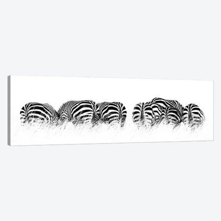 Row Of Black And White Zebras, Rear View Canvas Print #JRX45} by Jane Rix Canvas Art Print