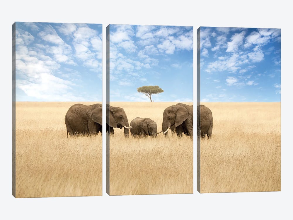 Elephants And Acacia Tree by Jane Rix 3-piece Canvas Artwork
