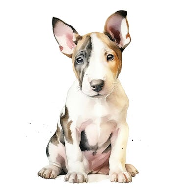 Bull Terrier Puppy by Jane Rix metal wall art
