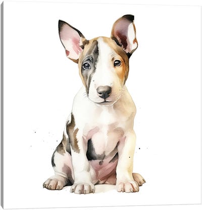 Bull Terrier Puppy Canvas Art Print - Bull Terrier Art
