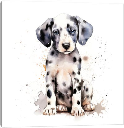 Dalmatian Pup Canvas Art Print - Puppy Art