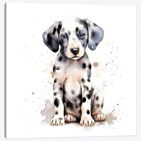 Dalmatian Pup Canvas Print #JRX465} by Jane Rix Canvas Artwork