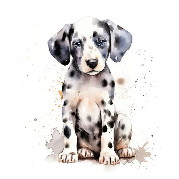 Jane Rix: Dalmatian Pup by Jane Rix