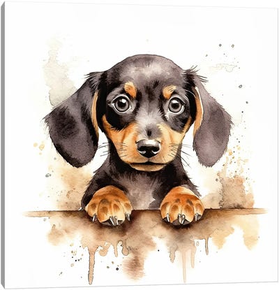 Black And Tan Dachshund Canvas Art Print - Puppy Art