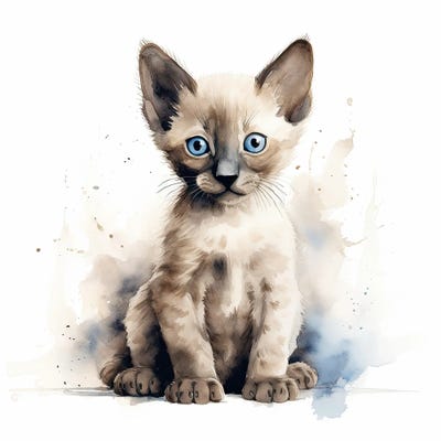 Siamese Kitten by Jane Rix art print