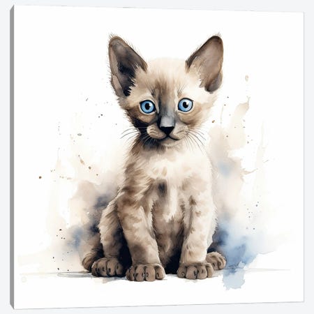 Siamese Kitten Canvas Print #JRX468} by Jane Rix Canvas Art Print