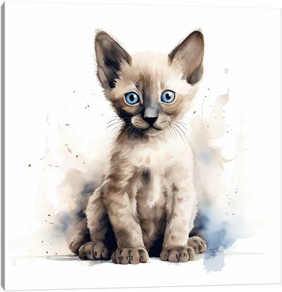Siamese Kitten Canvas Art Print - Siamese Cat Art