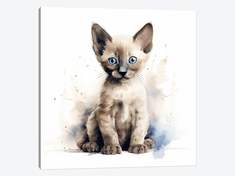 Siamese Kitten by Jane Rix 1-piece Canvas Art Print