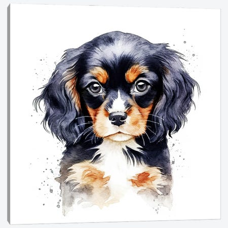 Cavalier King Charles Spaniel Puppy Canvas Print #JRX469} by Jane Rix Canvas Print