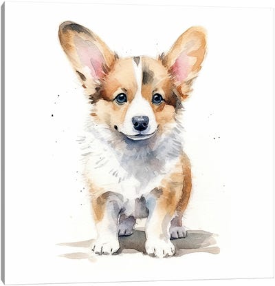 Welsh Corgi Puppy Canvas Art Print - Jane Rix