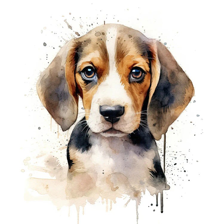 Beagle Puppy