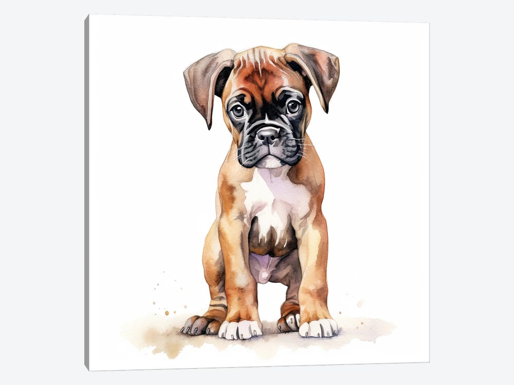 Boxer Puppy by Jane Rix 1-piece Canvas Art
