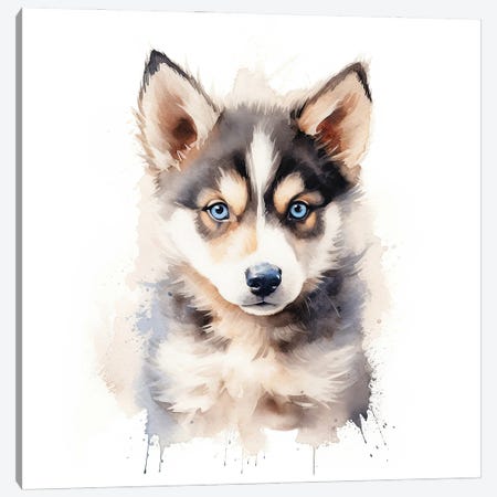 Husky Puppy Canvas Print #JRX473} by Jane Rix Canvas Artwork