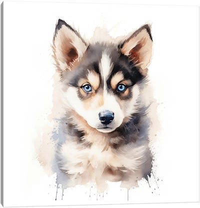 Husky Puppy Canvas Art Print - Siberian Husky Art