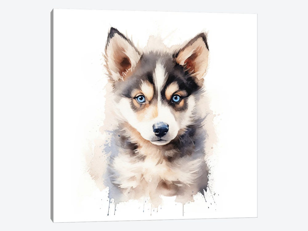 Husky Puppy by Jane Rix 1-piece Canvas Art Print