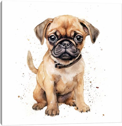 Pug Puppy Canvas Art Print - Pug Art