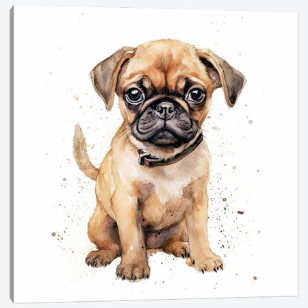 Pug Puppy Canvas Print #JRX474} by Jane Rix Canvas Art Print