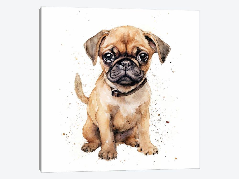Pug Puppy by Jane Rix 1-piece Canvas Wall Art