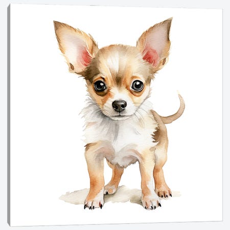 Chihuahua Puppy Canvas Print #JRX475} by Jane Rix Canvas Print
