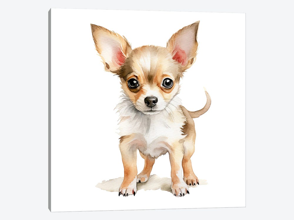 Chihuahua Puppy by Jane Rix 1-piece Canvas Art Print