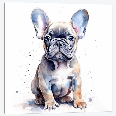 Spotted French Bulldog Canvas Art Print by Wandering Laur | iCanvas