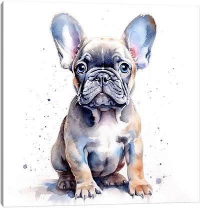 French Bulldog Pup Canvas Art Print - Puppy Art