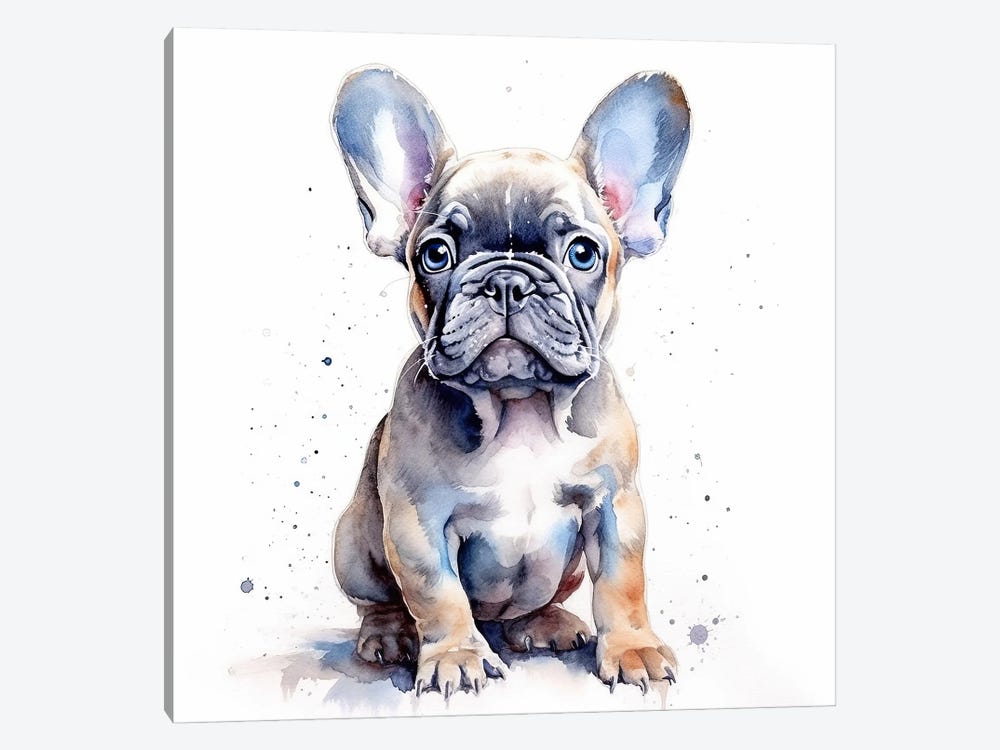 French Bulldog Pup by Jane Rix 1-piece Canvas Print