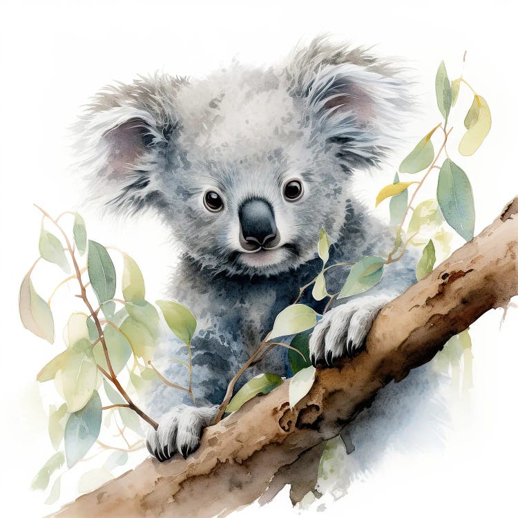 Koala In A Tree Watercolour by Jane Rix wall art