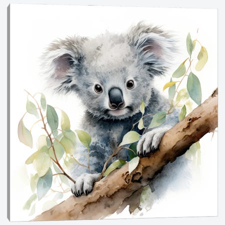 Koala In A Tree Watercolour Canvas Print #JRX478} by Jane Rix Canvas Wall Art