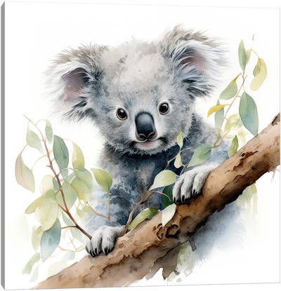 Koala In A Tree Watercolour Canvas Art Print - Koala Art