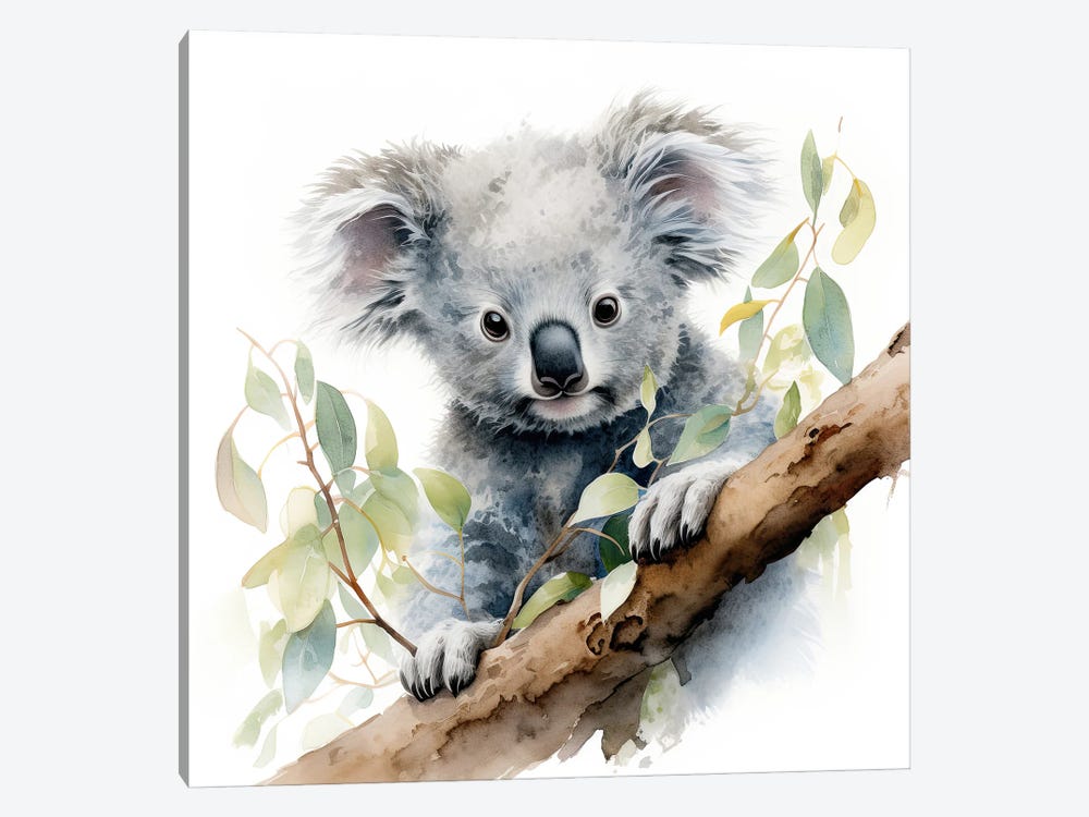 Koala In A Tree Watercolour by Jane Rix 1-piece Canvas Art