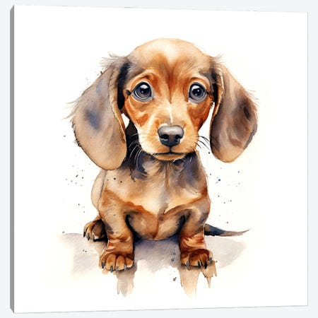 Tan Dachshund Puppy Canvas Print #JRX489} by Jane Rix Art Print