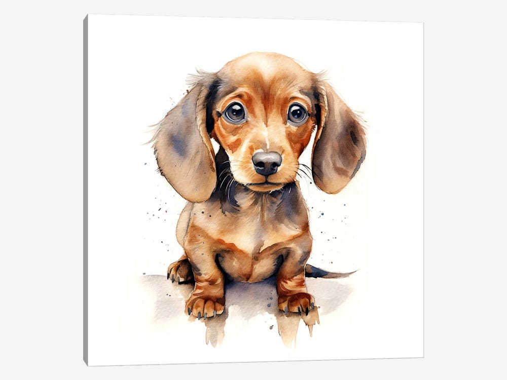 Tan Dachshund Puppy by Jane Rix 1-piece Canvas Art