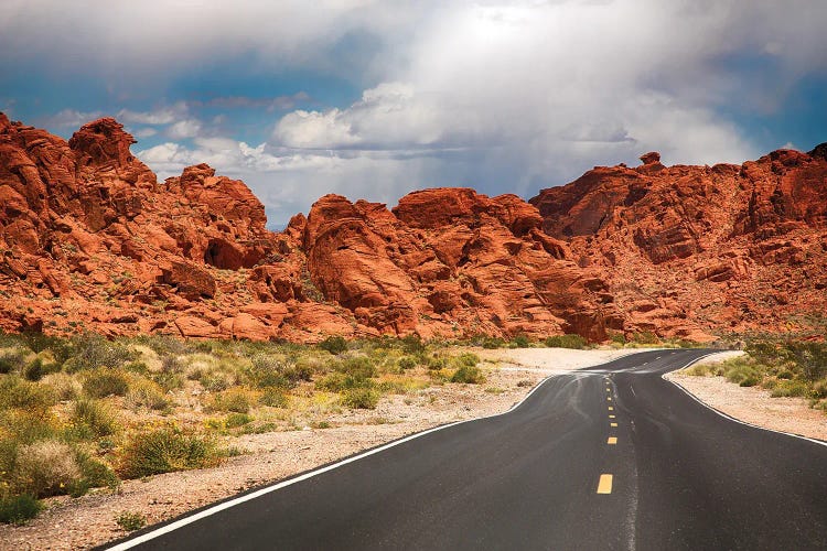 Road To The Valley Of Fire, Usa